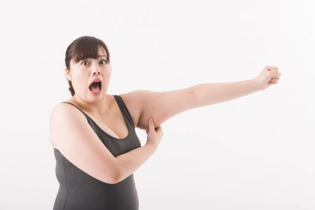 太った女性のイメージ画像